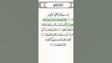 سورة البقرة بصوت القارئ وديع اليمني حلقه ١