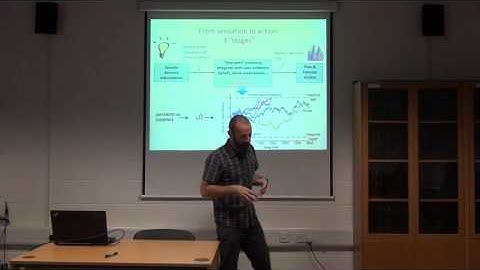 Neurophysiological insights into decision making in the human brain