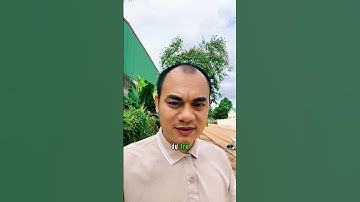 Kháng Insulin là gốc rễ của rối loạn chuyển hóa