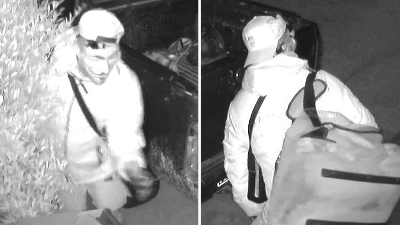 Sneaky Thieves Who Got Instant Karma