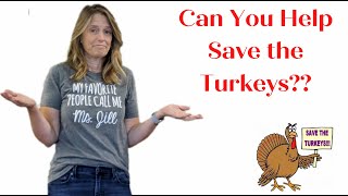 Save the Turkeys! | Preschool Adventures with Miss Jill