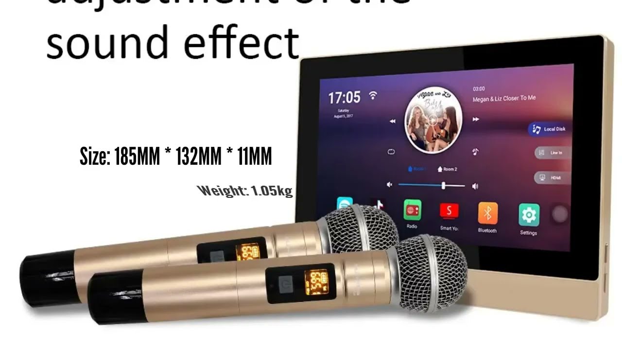 Smart WiFi Wall Bluetooth Amplifier 2024