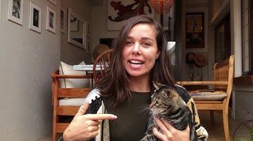 Lockdown Diary - Celeste Muller, IoT.nxt