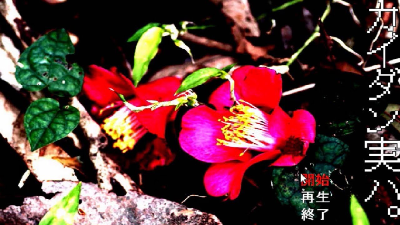 1 カイダン実ハ。 [実況] - YouTube