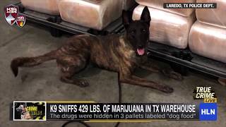 K9s4COPs K9 Turbo Makes HUGE Bust! | K9s4KIDs