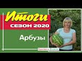 Арбузы 2020. Итоги удивительного сезона