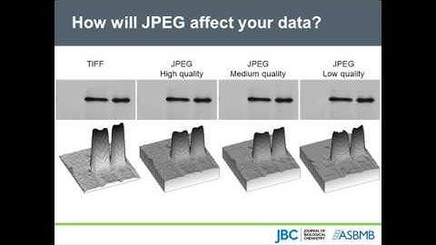 ASBMB Webinar | Image is everything: Preparing your figures for publication (Click CC for captions.)