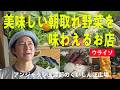 ウライソ-京都-美味しい朝取れ野菜を味わえるお店/ アンジャッシュ渡部のくいしんぼ広場 - PARK