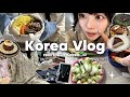 【Vlog】韓国リアル生活記録🇰🇷✨キムチ作り|パッキング|クリスマスパーティ🎄(いつの話?)