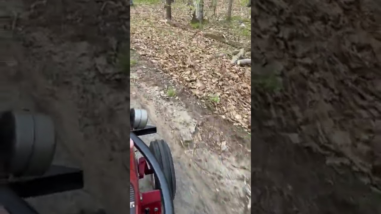 1964 Wheel Horse 1054