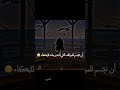 لا أحد يعلم معنى الصمت 