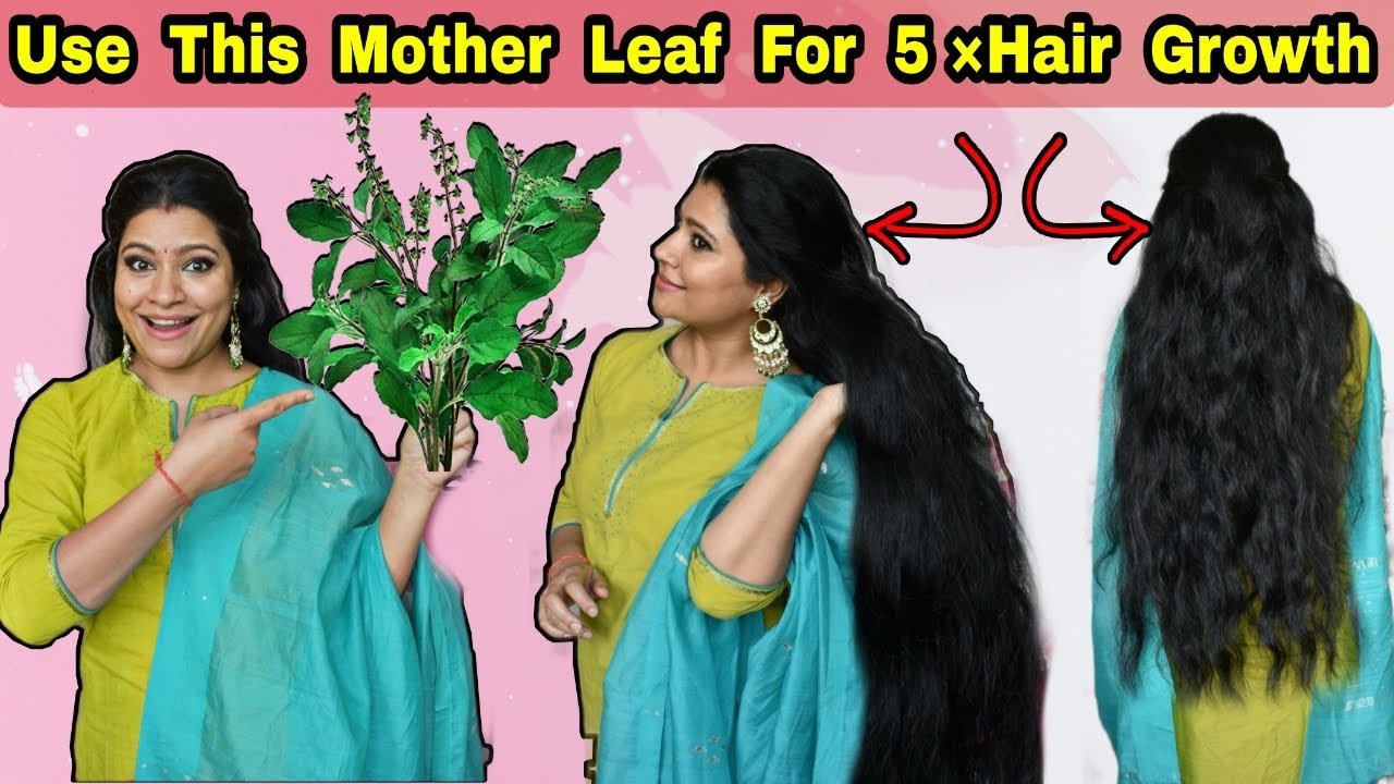 Use This "Mother Leaf" To Grow 5×Thick, Long & Strong Hair इस पत्ती से