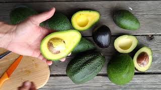 What's the best avocado?