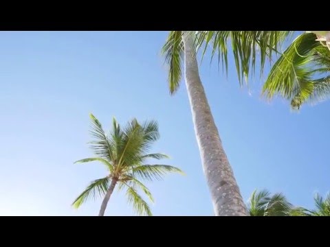 Discover the amazing Barceló Bávaro Beach Resort | Barceló Hotels
