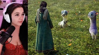 I Got A Zoo Hogwarts Legacy Gameplay Walkthrough Part 6