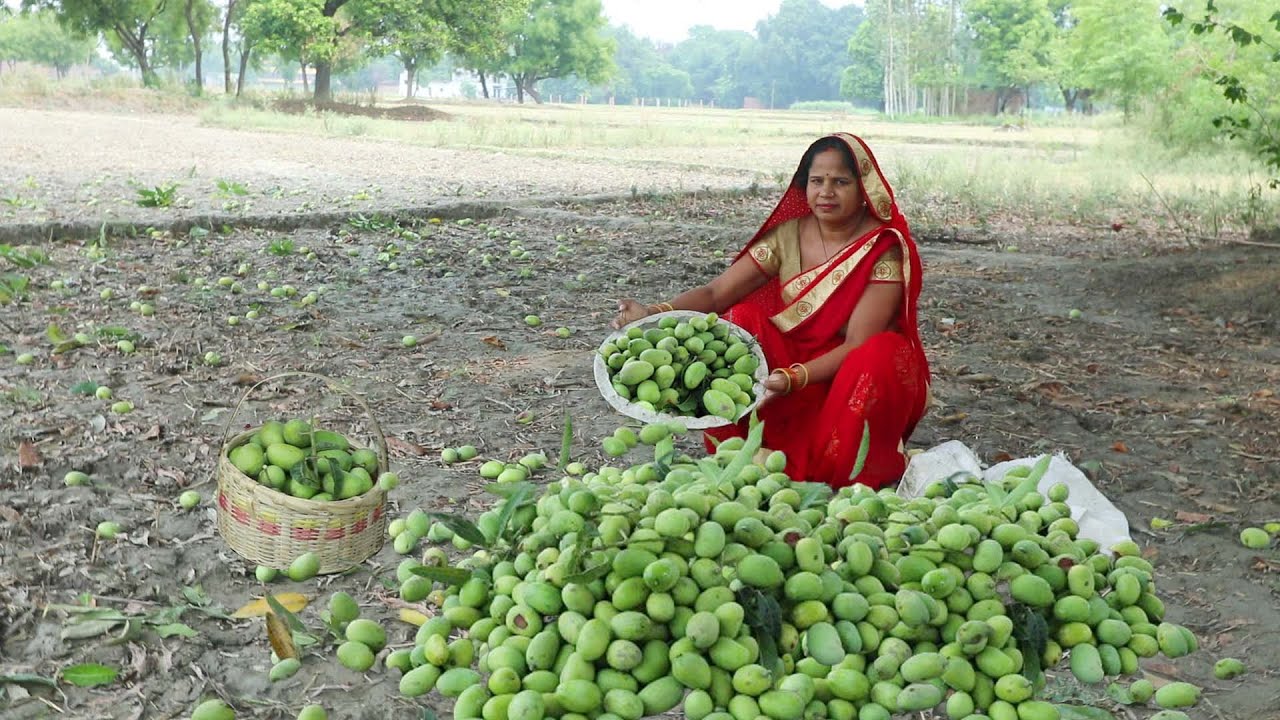 आम का आचार बनाने का ऐसा स्वादिष्ट तरीका जो सालो साल चले || Mango Pickle recipe .