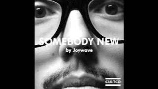 Joywave - Somedbody New (Radio Edit)
