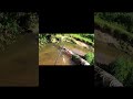 #fishing #shortvideos #shortsvideo #short #shorts