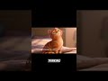 What If Your Cat Was The Key To Saving Reality #animatedstory #disney #bedtimetraditions