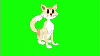 green screen cartoon cat video no copyright