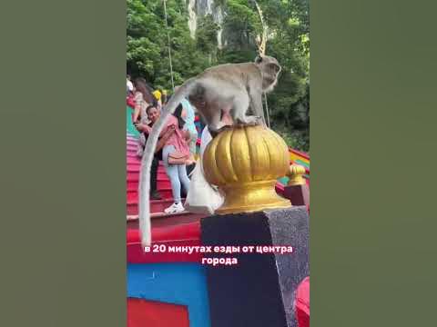 Вся правда про Куала Лумпур #малайзия #куалалумпур - YouTube