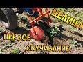 Картошка на целине. Первое окучивание дисковым окучником