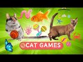 Cat tv  games for cats to enjoy  to relax your pets   cat games