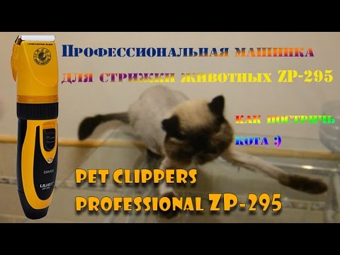 Pet clippers zp 295 