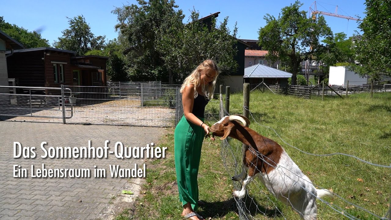 Update Das Sonnenhof-Quartier – Ein Lebensraum im Wandel