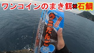 ワンコインのまき餌で石鯛釣り⁈アタリは各段にあった‼