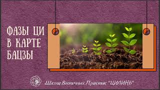 видео: ФАЗЫ ЦИ В КАРТЕ БАЦЗЫ. картинка: ФАЗЫ ЦИ В КАРТЕ БАЦЗЫ.