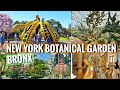 ⁴ᴷ⁶⁰ New York Botanical Garden Tour in Spring 2021| Explore KUSAMA: Cosmic Nature, Cherry Blossom 🌸