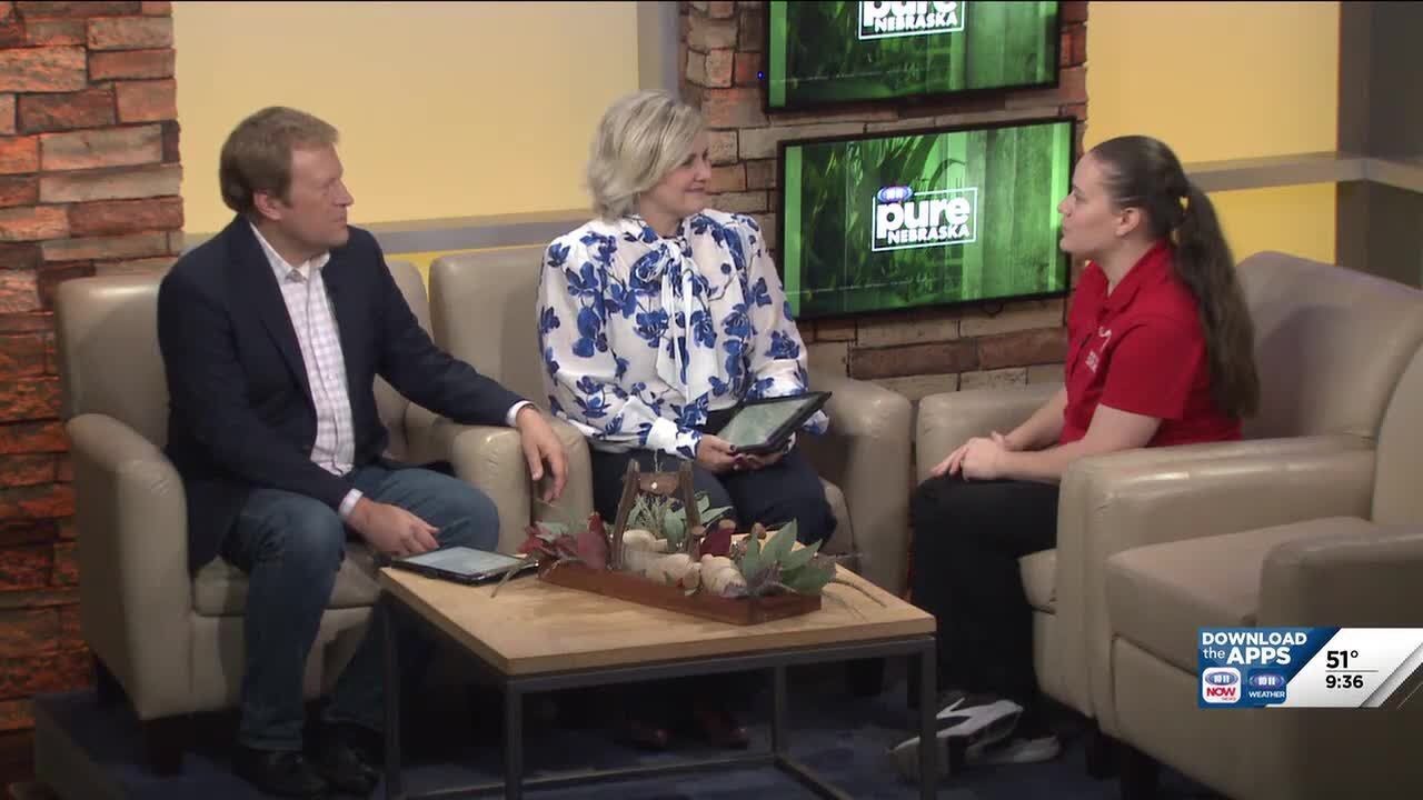 Recently opened exhibit, Halloween event at Morrill Hall