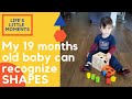 My 19 Months old BABY can recognize SHAPES // Best inexpensive learning toy