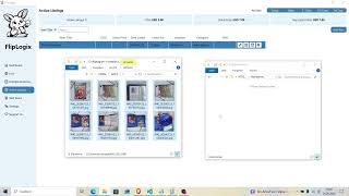 FlipLogix (2) How to use media / store pictures of items