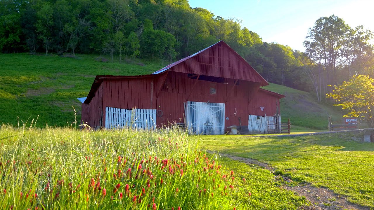 For Sale | $12 Million | 448 Acres | Brewington Farms | 5191 Jennings Creek Hwy. Whitleyville, TN