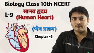 L-9 ,मानव हृदय (Human Heart)|| जैव प्रक्रम || Class 10th Biology || परिसंचरण तंत्र || Chapter - 5