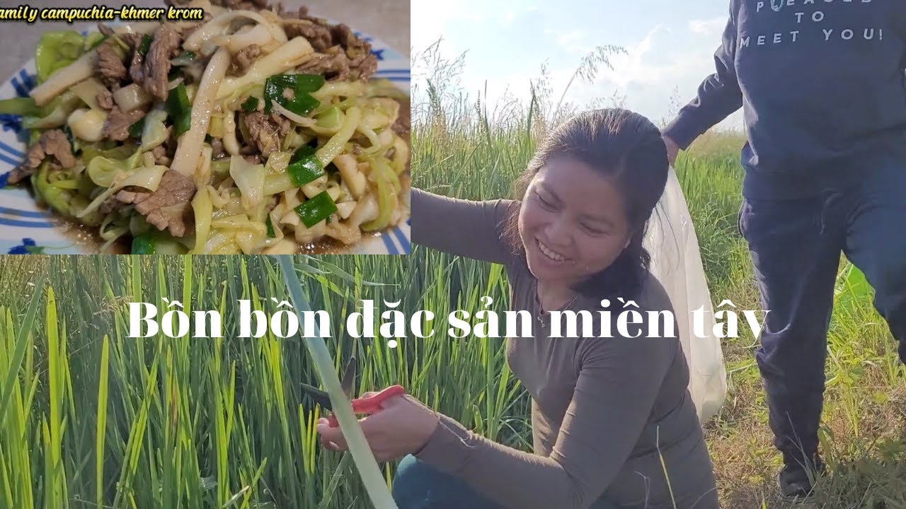 Hái Bồn bồn rau Việt mọc ở nước ý xào với thịt bò quá ngon ...
