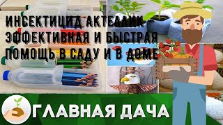 Инсектицид Актеллик – эффективная и быстрая помощь в саду и в доме