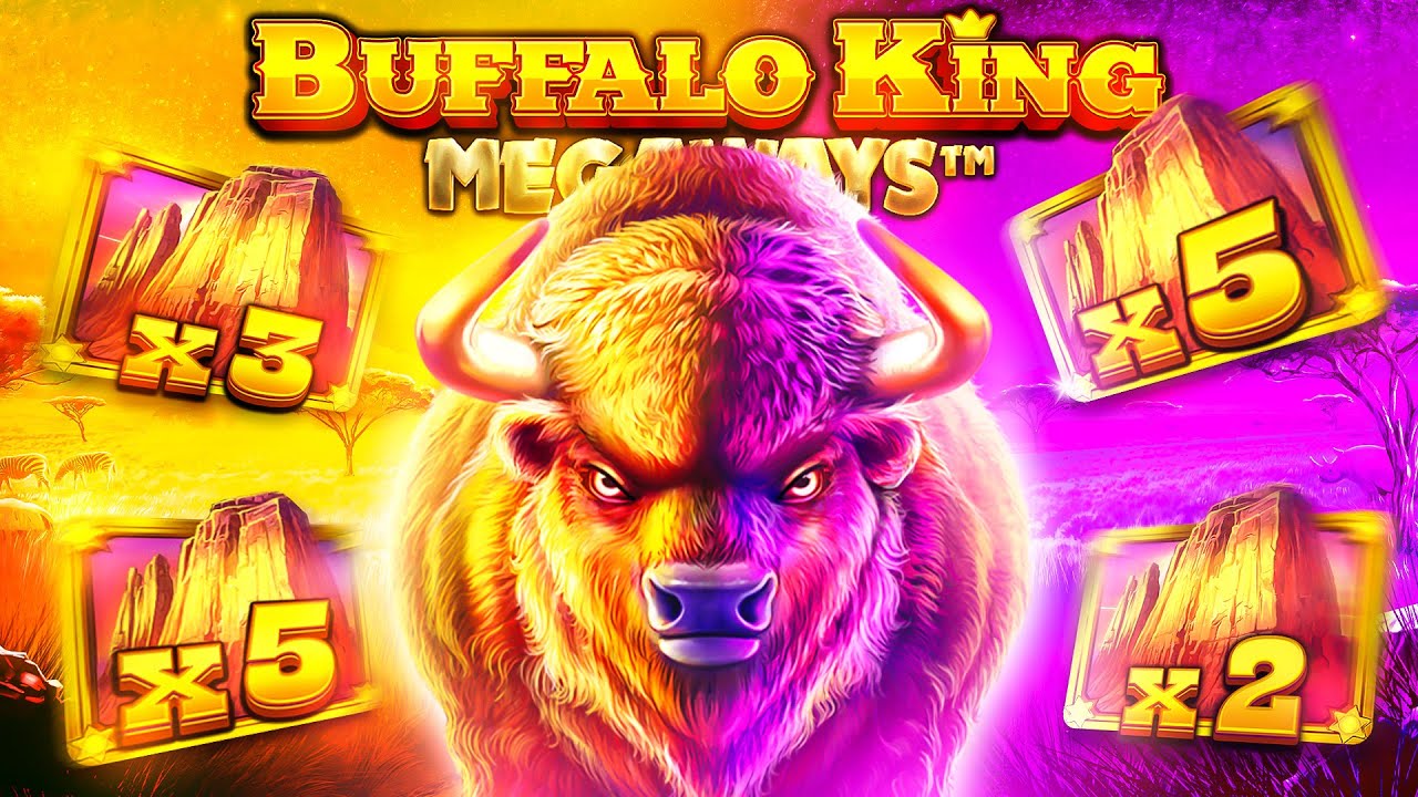 The Buffalo King