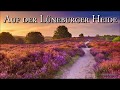 Auf der Lüneburger Heide [German Folk Song][+Lyrics]