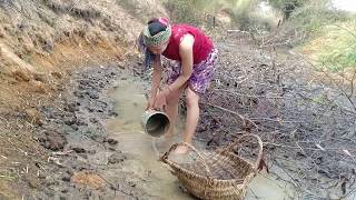 Cambodia beautiful girl catch fish by hand-Girl fishing