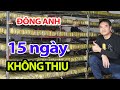Đặc Sắc Làng Bánh Chưng Lỗ Khê Dịp Tết Để 15 Ngày Không Thiu #hnp