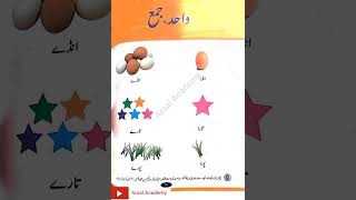 واحد جمع | Singular Plural | Urdu Primer pre One | #arsalacademy