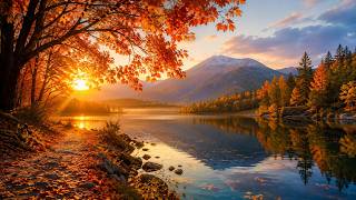 Beruhigende Herbstmusik 🍁 Goldene Ahornalleen, Seen & warmes Klavier zum Abbau von Stress & Ängsten screenshot 3