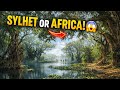 Exploring Sylhet | Africa Vibes in Sylhet 😱 | মায়াবন ইকো পার্ক,সিলেট   🇧🇩