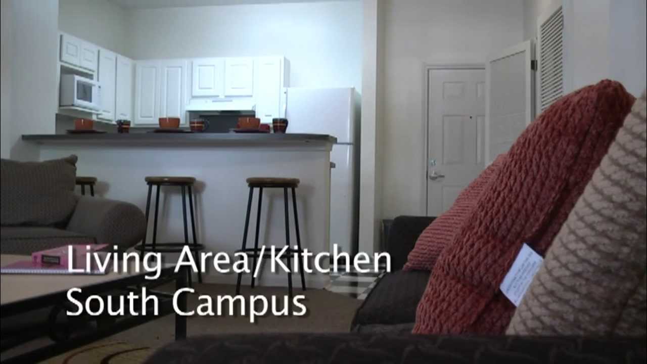 South Campus 4 Bedroom 2 Bath - YouTube