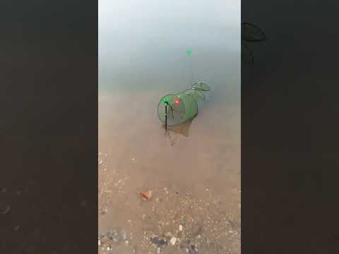 Рыбалка на Рузском водохранилище и снова плотва.