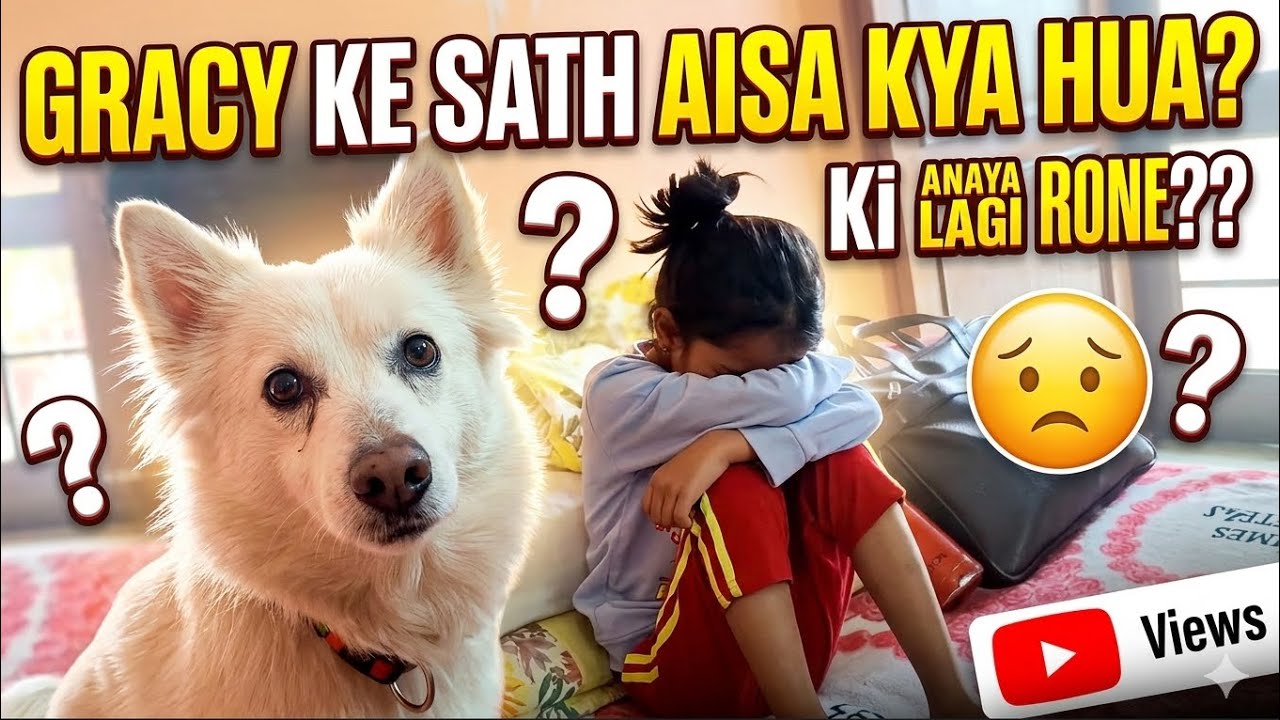 Gracy Ke sath Aisa Kya Hua ?? Anaya Lagi Rone