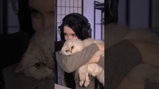Зверюги #shorts #твич  #twitch #morphilina #морфилина